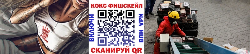 Кокаин Fish Scale  где можно купить   МЕГА ТОР  Глазов 