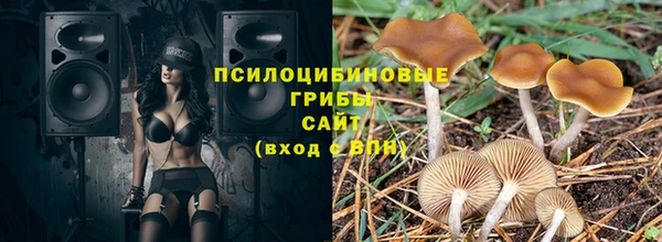 стаф Алзамай