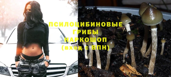 гашик Алексин